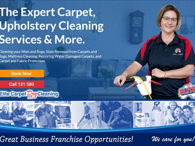 secure-your-financial-future-with-carpet-dry-cleaning-franchise-business-0