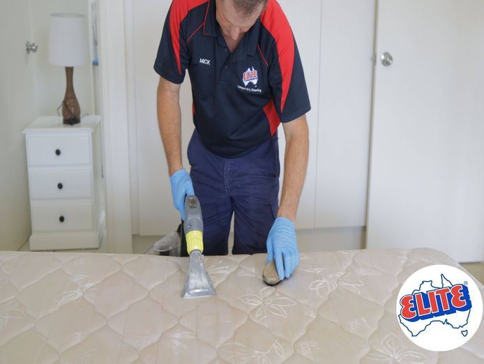 elite-carpet-dry-cleaning-coffs-harbour-with-customer-database-7