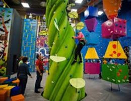 One of the Largest kids' indoor playground in Australia EBITDA $ 720,000.00