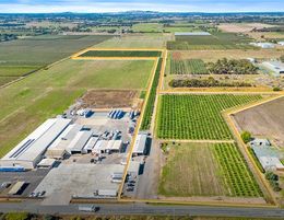 SUCESSFUL FIG FARMING BUSINESS WITH 21 ACRES OF FREEHOLD LAND (EoI)