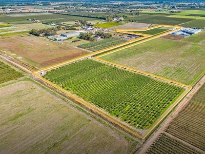 sucessful-fig-farming-business-with-21-acres-of-freehold-land-eoi-8