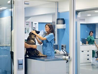exceptional-veterinary-business-for-sale-south-east-of-victoria-1