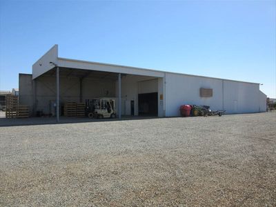 sucessful-fig-farming-business-with-21-acres-of-freehold-land-eoi-7