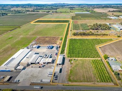 sucessful-fig-farming-business-with-21-acres-of-freehold-land-eoi-0