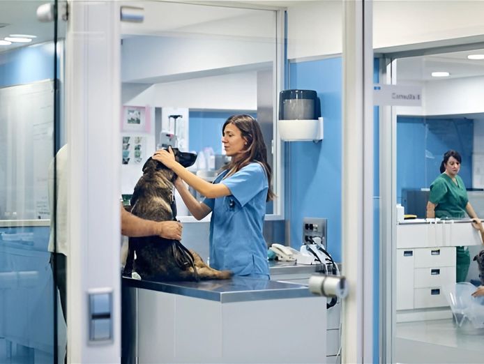 exceptional-veterinary-business-for-sale-south-east-of-victoria-1