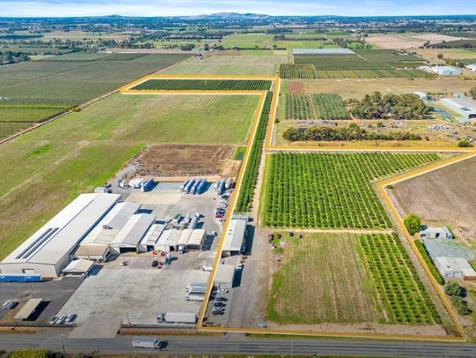 sucessful-fig-farming-business-with-21-acres-of-freehold-land-eoi-0