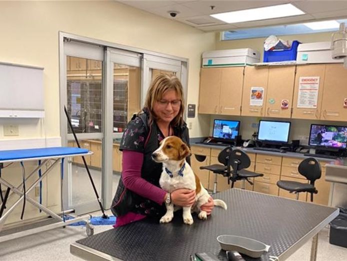 wellestablishedvetclinicnearmulgrave1