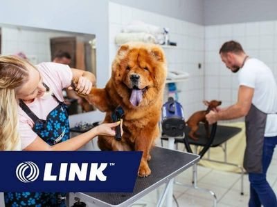 premium-dog-grooming-salon-0