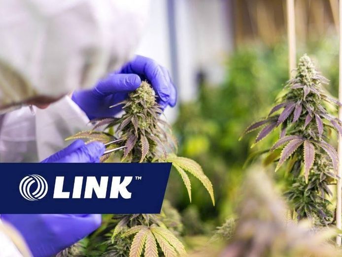 profitable-green-medical-opportunity-awaits-0