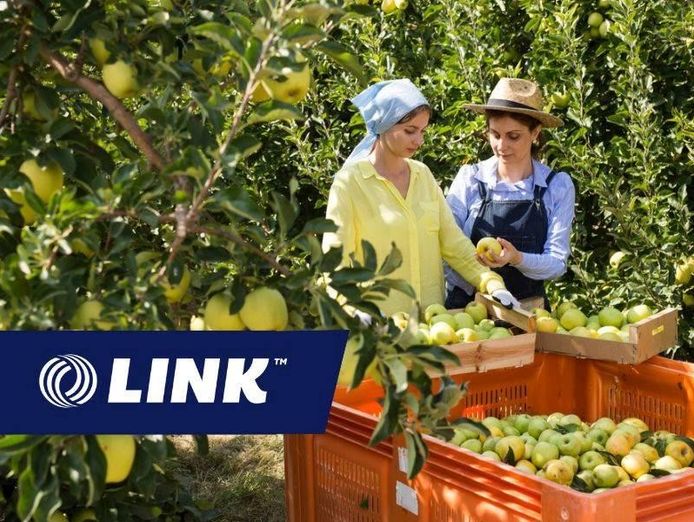 premium-cider-brand-with-national-distribution-3