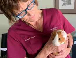 Veterinary Practice – Tamworth NSW