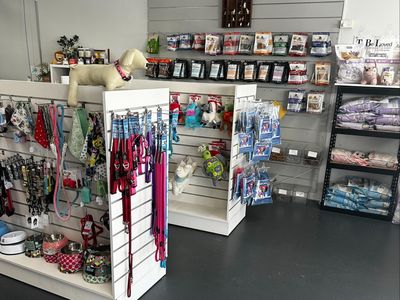 dog-grooming-salon-and-pet-supplies-store-windradyne-nsw-2