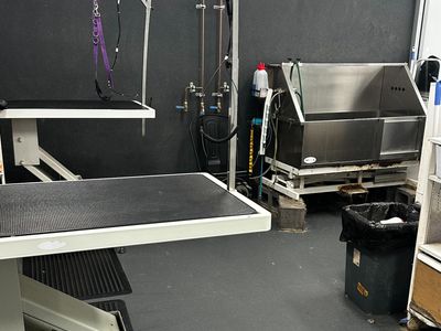 dog-grooming-salon-and-pet-supplies-store-windradyne-nsw-3