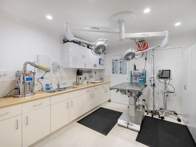 highlands-veterinary-hospital-southern-highlands-nsw-2