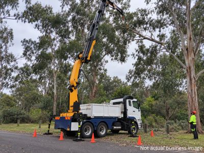 highly-profitable-tree-services-business-1-22m-fy26-profit-brisbane-0