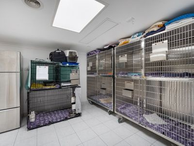 highlands-veterinary-hospital-southern-highlands-nsw-3