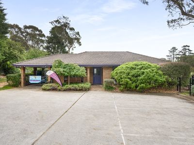 highlands-veterinary-hospital-southern-highlands-nsw-0