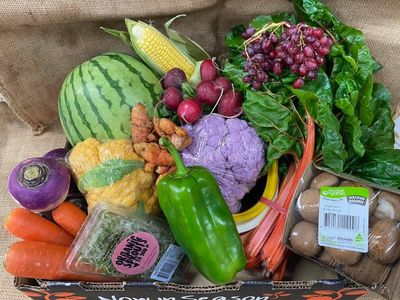 highly-profitable-large-format-health-food-store-forster-mid-north-coast-nsw-8