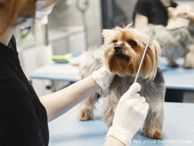 express-sale-pet-grooming-at-9-locations-in-metro-melbourne-0