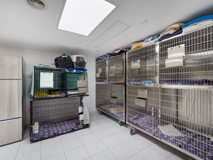 highlands-veterinary-hospital-southern-highlands-nsw-3
