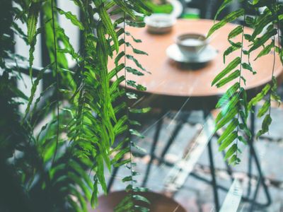 a-unique-lifestyle-cafe-opportunity-in-robina-0