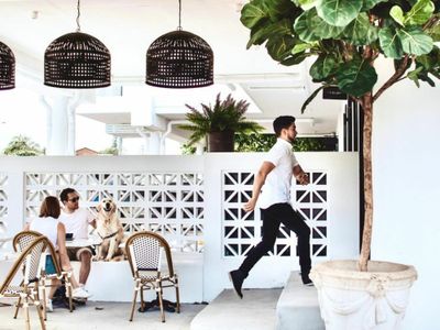 scout-coffee-a-vibrant-cafe-amp-patisserie-gem-in-labrador-gold-coast-4