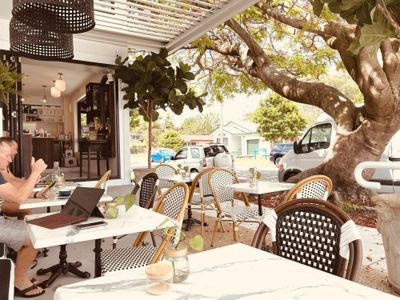 scout-coffee-a-vibrant-cafe-amp-patisserie-gem-in-labrador-gold-coast-2