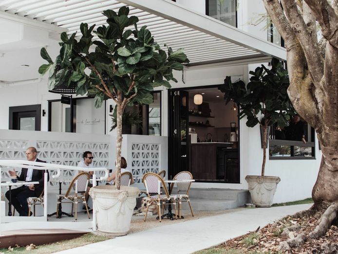 scout-coffee-a-vibrant-cafe-amp-patisserie-gem-in-labrador-gold-coast-3