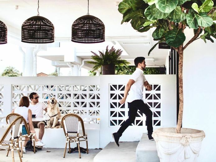 scout-coffee-a-vibrant-cafe-amp-patisserie-gem-in-labrador-gold-coast-4