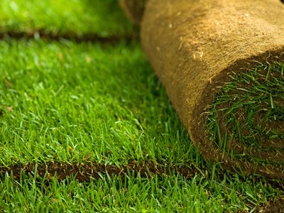 liquid-gold-dominating-the-environmental-and-water-solutions-market-9