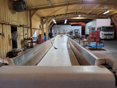 food-production-the-recession-proof-jewel-8