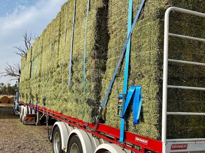 rural-supply-business-riding-was-growth-wave-expansion-ready-8