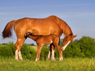 rural-supply-business-riding-was-growth-wave-expansion-ready-1