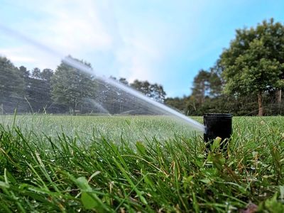liquid-gold-dominating-the-environmental-and-water-solutions-market-1