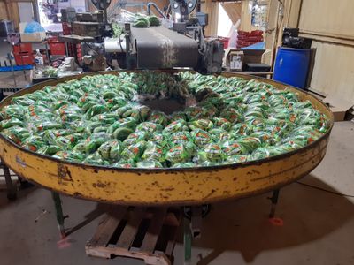 food-production-the-recession-proof-jewel-4