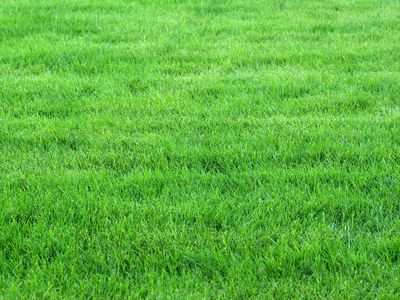 hidden-gem-simple-to-operate-niche-land-management-business-1