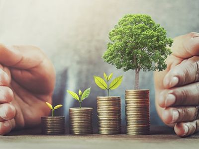 established-premium-bookshop-south-west-wa-lifestyle-returns-2