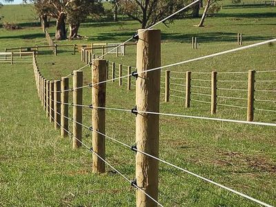 rural-supply-business-riding-was-growth-wave-expansion-ready-6