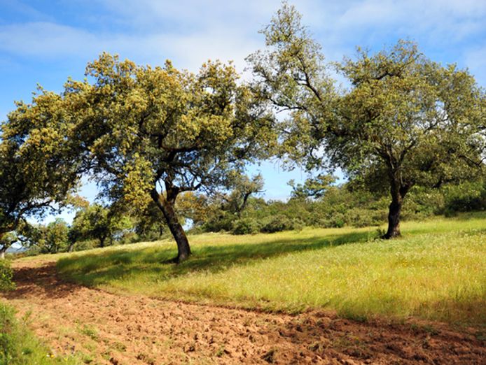 hidden-gem-simple-to-operate-niche-land-management-business-6