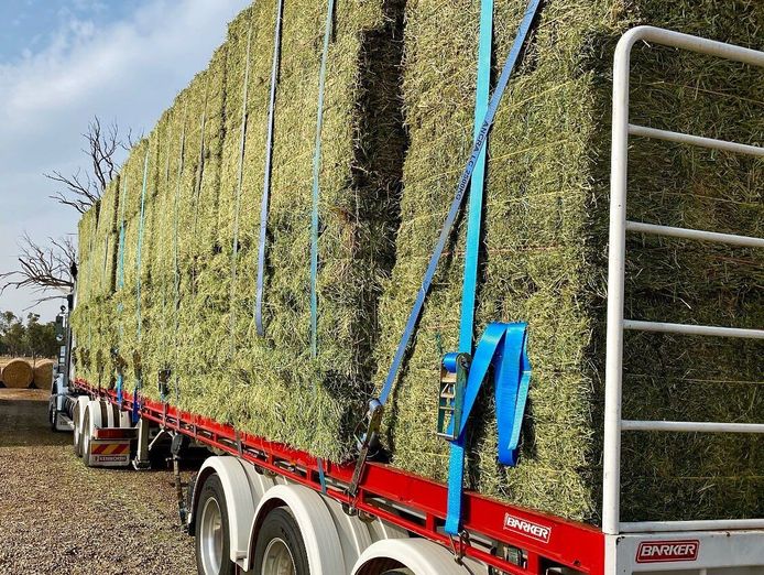 rural-supply-business-riding-was-growth-wave-expansion-ready-8