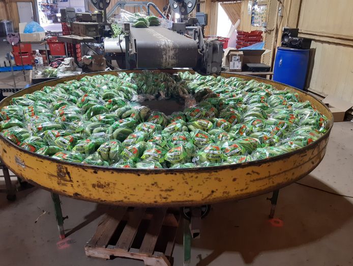 food-production-the-recession-proof-jewel-4