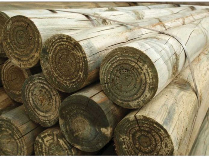 rural-supply-business-riding-was-growth-wave-expansion-ready-9