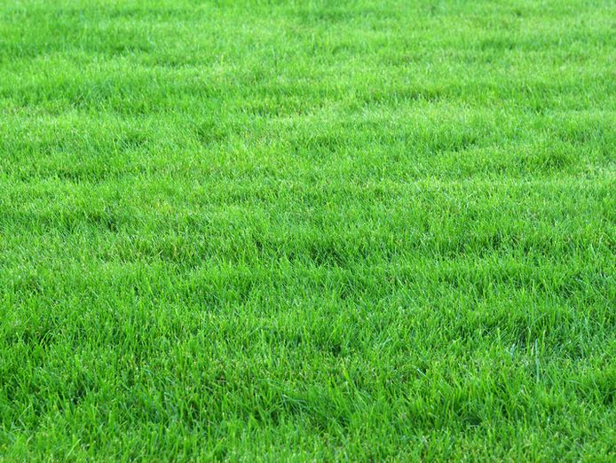 hidden-gem-simple-to-operate-niche-land-management-business-1