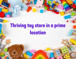 Established toy store is ready for more success!