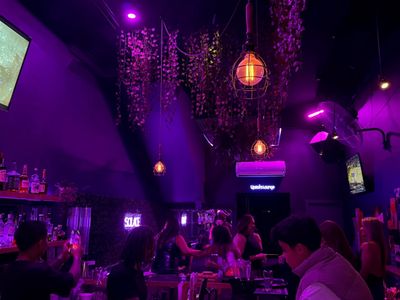 wiwo-cocktail-bar-situated-on-the-iconic-chapel-street-mobile-bars-business-3