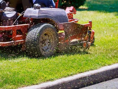 longstanding-lawn-mowing-amp-gardening-business-stable-income-2