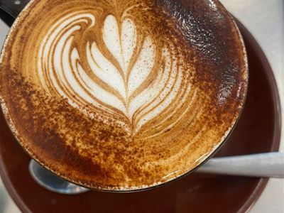 rare-hamilton-north-cafe-for-sale-walk-in-walk-out-2