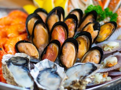 longstanding-seafood-business-with-diversified-revenue-streams-2