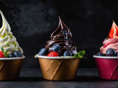 thriving-frozen-yogurt-business-for-sale-tutti-frutti-uwa-0