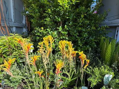 online-plant-sales-turnover-1m-0